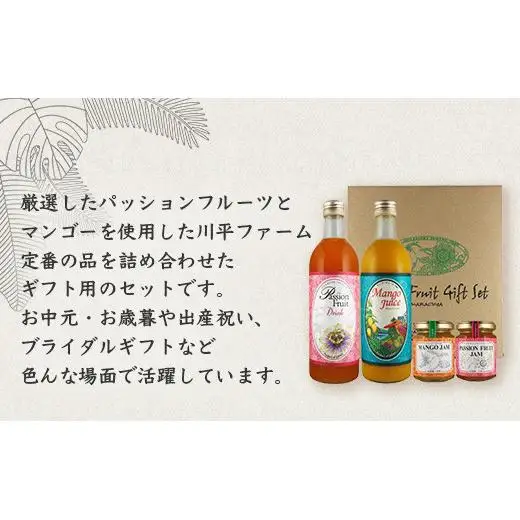 パッションマンゴーギフトセット W-18 
