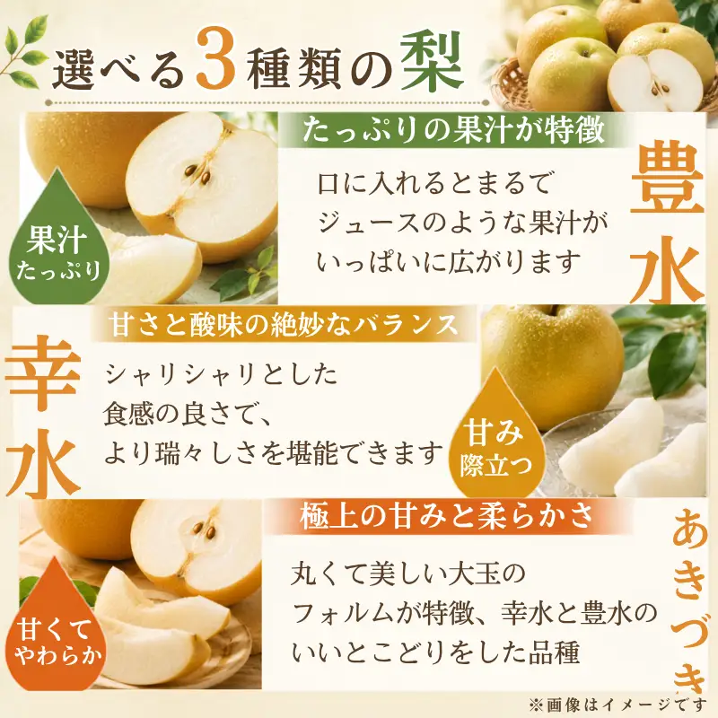 梨 白鳳梨（豊水）3L  14玉 ※お届けは9月上旬から9月中旬頃の予定 梨 【hkns0001】