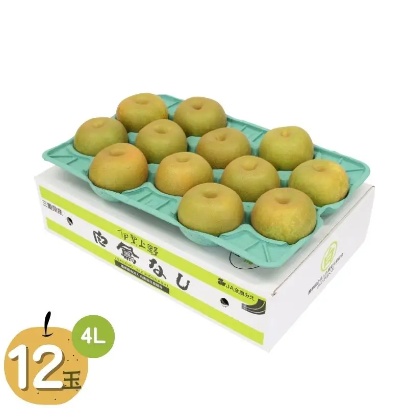 梨 白鳳梨(あきづき)4L 12玉※お届けは9月中旬頃の予定 梨 【hkns0002】