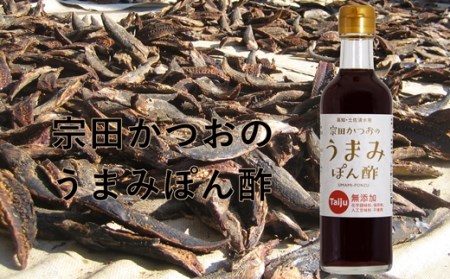 無添加 宗田かつおのうまみぽん酢 ２種セット（各300ml×１本）フルーツトマト味 サラダドレッシング　【R00124】
