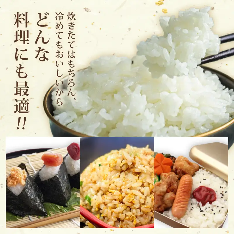 【令和8年産】【新米】 白米 にこまる 30kg 大野見米