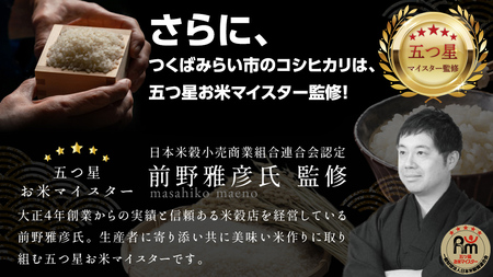 最短翌日出荷!! 【 お試しサイズ 】 コシヒカリ 150g (150g×1袋)  令和７年産 茨城県産 お試し ♪ 1合