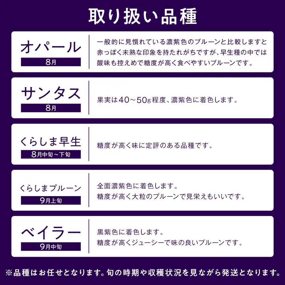 生食用プルーン約1.2kg【2026年8月中旬以降発送予定】 | プルーン