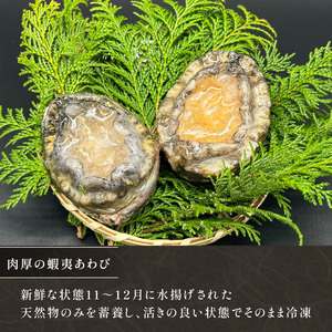 あわび 2個 冷凍 鮑 蝦夷あわび 鮑 Abalone ステーキ バターソテー 正月 お正月 おせち 刺し身 刺身 バーベキュー BBQ ごはん 夕飯 おかず おつまみ 晩酌 米 丼 海産物 海鮮 魚介 魚介類 贈答品 お中元 お歳暮 大船渡 三陸 岩手県 国産
