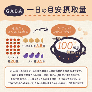 【定期便】6ヶ月連続お届け 毎回10食分お届け オニオンポタージュ味 プロテイン11g GABA100mg 粉末プロテインスープ ダイエットスープ 温活 持ち運び 個包装　10食×6袋 154-018