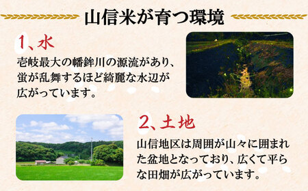 壱岐産 山信米 5kg《壱岐市》【イキテイク合同会社】 穀物 精米 白米 [JFG001] 25000 25000円 のし プレゼント ギフト 九州