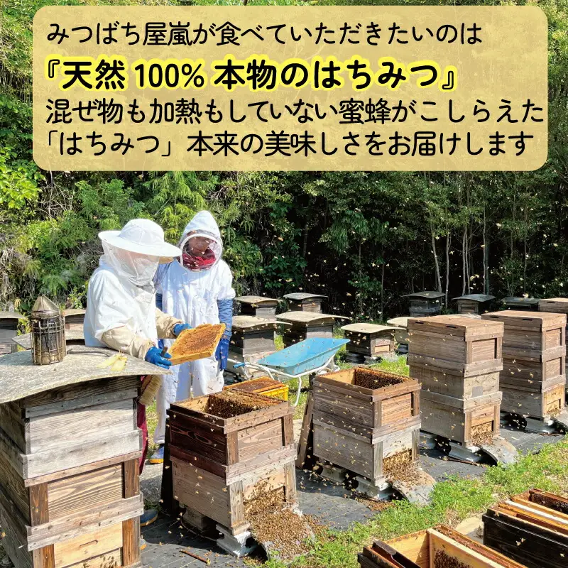 国産純粋はちみつ 嵐 の はちみつ 天然 100％ 3種 セット 百花蜜 地蜜 河内晩柑 みつばち屋嵐  F022-129001