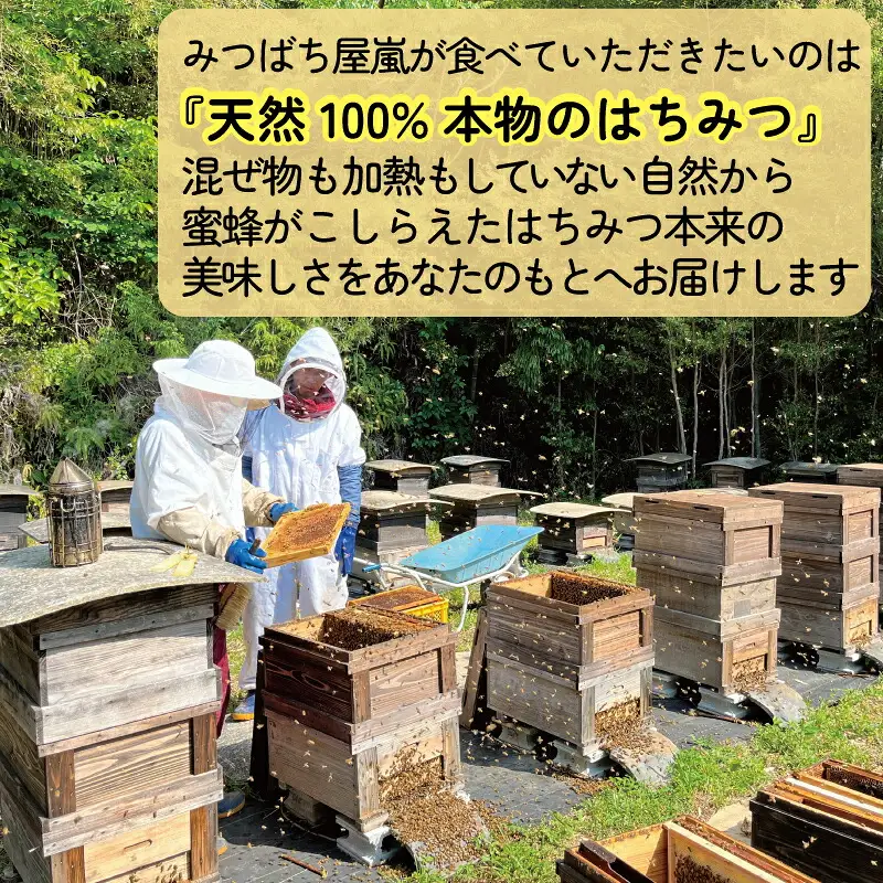 嵐 の はちみつ 天然 100％ 地蜜 みつばち屋嵐 非加熱 はちみつ F018-129004