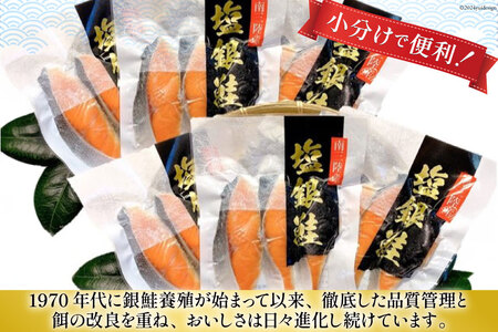 12回 定期便 鮭 切り身 塩銀鮭パック 3切 ×6袋 ×12回 総計72袋