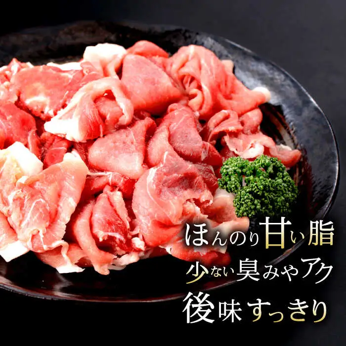 諫美豚切り落としひき肉セット計4.2kg / 豚 豚肉 切り落とし ひき肉 小分け / 諫早市 / 株式会社土井農場 [AHAD059]