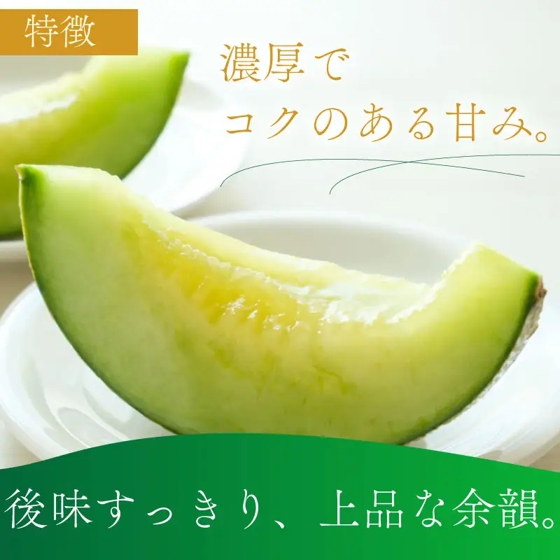 【通年出荷】 高級 マスクメロン 白級 1玉  化粧箱入  化粧箱入 贈答用 牧之原市 静岡県 牧之原うまいもん食楽部