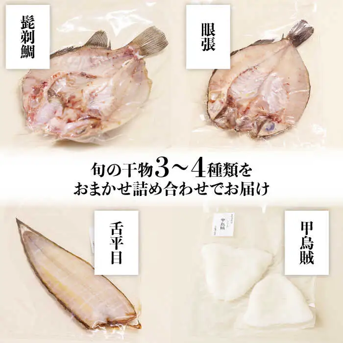 【職人の技】旬の干物 詰め合わせ 3-4種（6-8パック） / 魚 干物 干もの セット  / 南島原市 / ながいけ [SCH048]