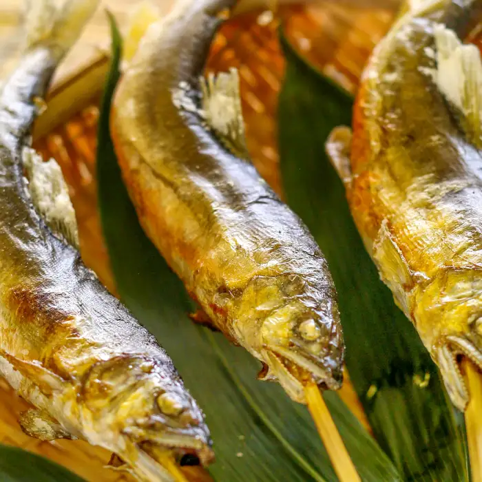 【一級河川・江の川の恵み】島根県産　天然冷凍鮎　約800g