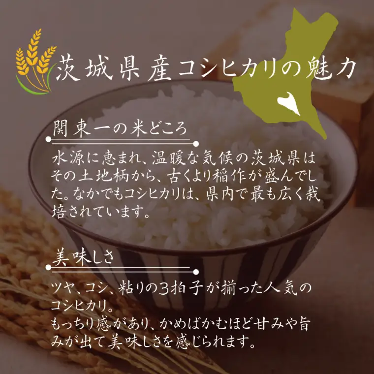 令和6年産 茨城県水戸市常澄産コシヒカリ みと米（EX-2）
