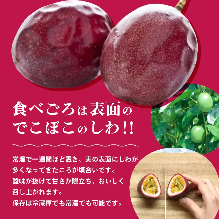 【2026年 観光雑誌付き】奄美産パッションフルーツ 贈答用化粧箱入り 世界自然遺産の島の贈り物 約1kg 12個入（フルーツキャップ付き） A052-005