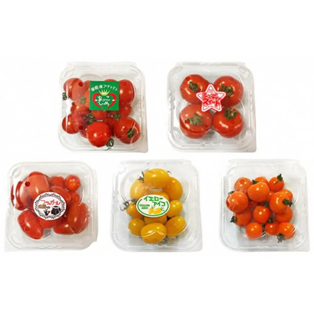 御殿場プチトマト ミックス6パック（約1.2kg） ※2027年3月～発送