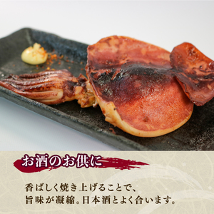 訳あり スルメイカ 1.2kg 8?12枚入 いか スルメイカ 海鮮 魚貝類 魚介類 おつまみ 開き お酒のあて 煮物 おかず ご飯 白米 三陸産 岩手県 大船渡市
