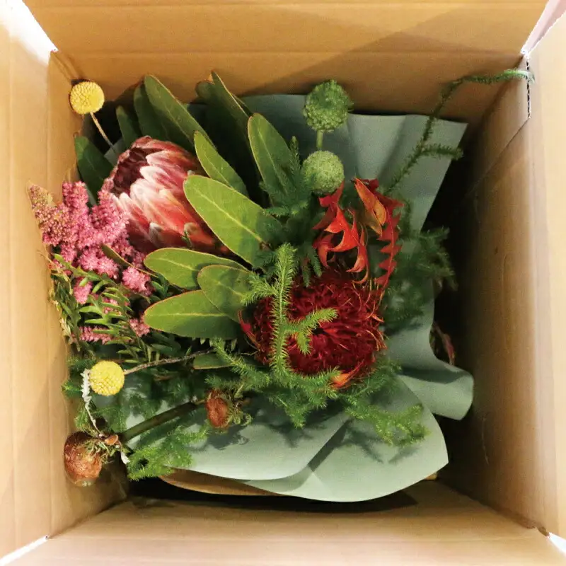 ドライフラワー スワッグ 花束 Flowershop Poppy デザインおまかせ 花 ブーケ 切花 切り花 ドライ フラワー Flower 雑貨 インテリア 誕生日 記念日 プレゼント hana 贈り物 フラワーライフ 自宅用 アレンジメント 国産 愛媛 宇和島 K012-125003