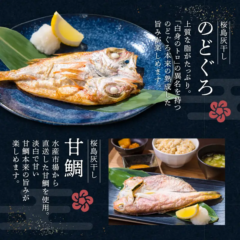 桜島灰干し 5種詰合せ【特選】 K178-002 魚 冷凍