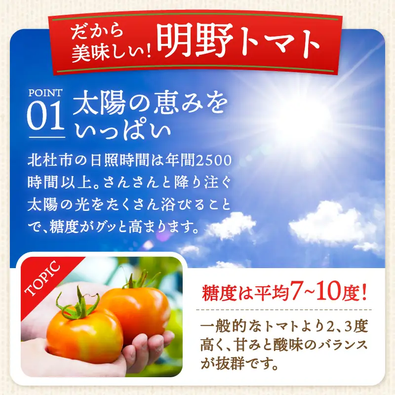 明野とまと 約1kg [h216]