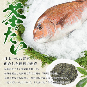 茶鯛 1尾【ウスイ】 usui-7320R8