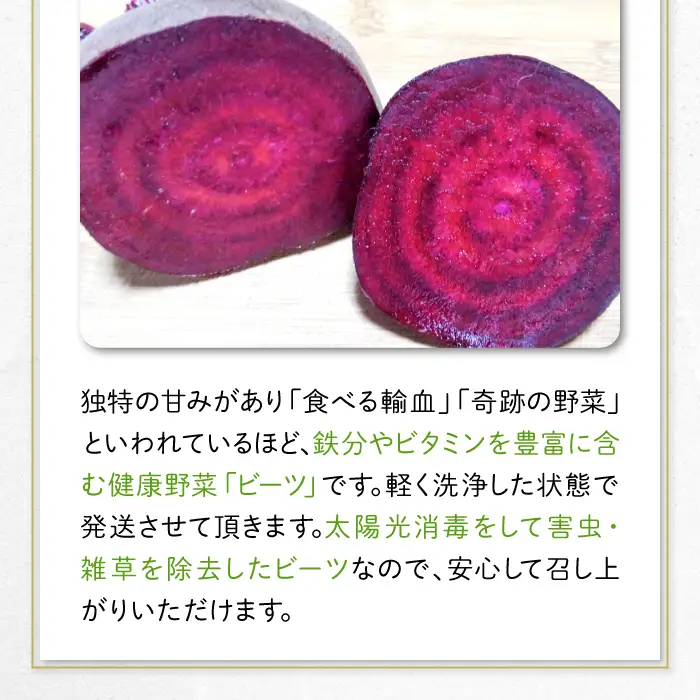 【季節限定品】あまくて真っ赤なビーツ2.5㎏【ビーツ 食べる輸血 奇跡の野菜  健康野菜 スーパーフード カエンサイ ボルシチ ポタージュ スムージー スイーツ ビタミン】