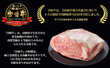 【特別提供品】宮崎牛ミスジステーキと黒毛和牛小間切れセット 計750g（国産 黒毛和牛 宮崎牛 牛肉 希少部位 お肉 こま切れ）