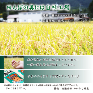 岩手県産 ひとめぼれ 精米 5kg 2袋 総量 10kg 12ヶ月 定期便 【わかふじ農産】 白米 米 お米 こめ コメ ライス ご飯 ごはん 贈り物 単一原料米 国産 仕送り お取り寄せ 産地直送 農家直送 数量限定 出荷日精米 人気 おすすめ 5キロ 10キロ 12カ月 12か月 12ヵ月 12ケ月