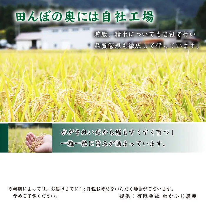 ＼在庫限り／ 令和7年度産 わかふじ農産のあきたこまち 精米 10kg1袋｜数量限定300個！