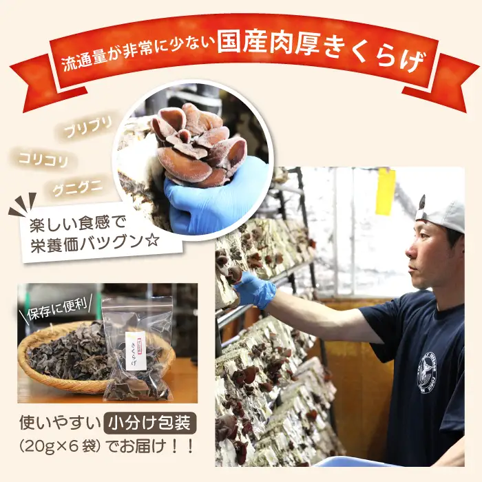 肉厚 乾燥きくらげ 小分け120g（20g×6袋）｜国産 長期保存「マッシュルームベッドハウス」