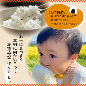 令和7年度産 ひとめぼれ 精米10kg3ヵ月定期便 ／ 岩手県産 国産 雫石町 産 農家 直送 産地 直送 白米 米 こめ コメ ごはん はくまい ライス らいす ご飯 穂々ファーム