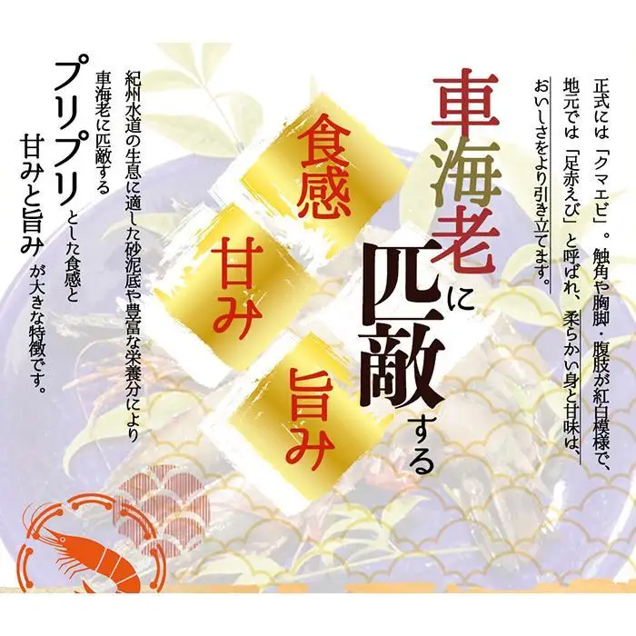 紀州和歌山産天然足赤えび540g×2箱（270g×4パック）　化粧箱入［2026年12月上旬頃から2027年2月上旬頃に順次発送］［UT24］