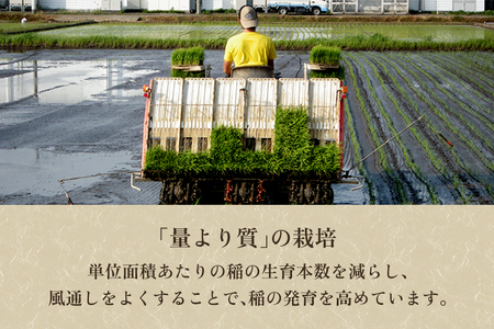 【令和8年産新米先行予約】新潟県 加茂市産コシヒカリ 精米3kg《10月上旬～順次出荷》 （株）ライスグローワーズ