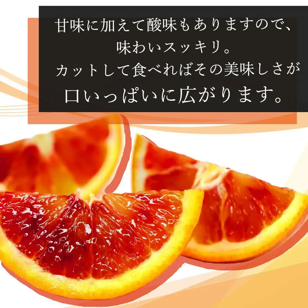 希少な柑橘!紀州有田産ブラッドオレンジ約3kg ［ご家庭用］［2027年3月上旬以降発送］［先行予約］［UT55］