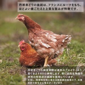 鶏肉 12回定期便 丹波赤どり もも肉 1kg×4パック×12回 丹波山本 鶏肉 国産鶏肉 鶏肉 亀岡産鶏肉 訳あり鶏肉