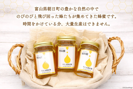 里山蜜 160g×1本