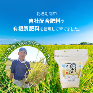 【令和7年度産】肥料屋厳選近江米ミルキークィーン２㎏　モリタ肥料店 お米 近江米 DI-0008