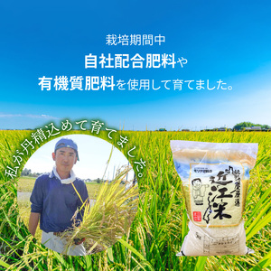 【令和7年度産】肥料屋厳選近江米ミルキークィーン５㎏　モリタ肥料店 お米 近江米 DI-0009