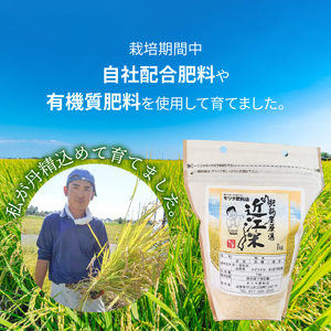 【令和7年度産】肥料屋厳選近江米みずかがみ１㎏  モリタ肥料店 お米 近江米 DI-0004