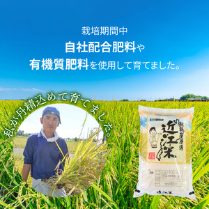 【令和7年度産】肥料屋厳選近江米みずかがみ５㎏　モリタ肥料店 お米 近江米 DI-0006