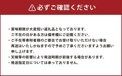 シャインマスカット 晴王 1房（約600g）【2026年9月上旬～11月上旬発送予定】【シャインマスカット 果物 フルーツ 国産 人気 おすすめ 岡山県 倉敷市】