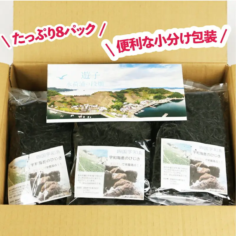 海藻 ひじき 宇和海産 天日干しひじき 320g NPO法人段畑を守ろう会 天然ひじき ひじき 海藻海藻海藻海藻 D010-051003