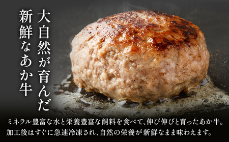阿蘇あか牛ハンバーグ 400g 100g × 4個 株式会社LARKS《30日以内に出荷予定(土日祝除く)》ハンバーグ あか牛 牛肉 熊本県 冷凍 送料無料