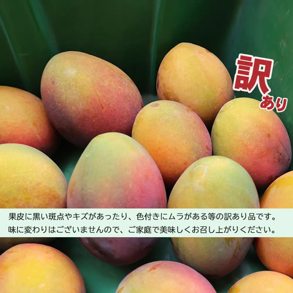 訳あり品【2027年発送】久米島熱帯果樹園 完熟マンゴー約2kg（3～6玉）