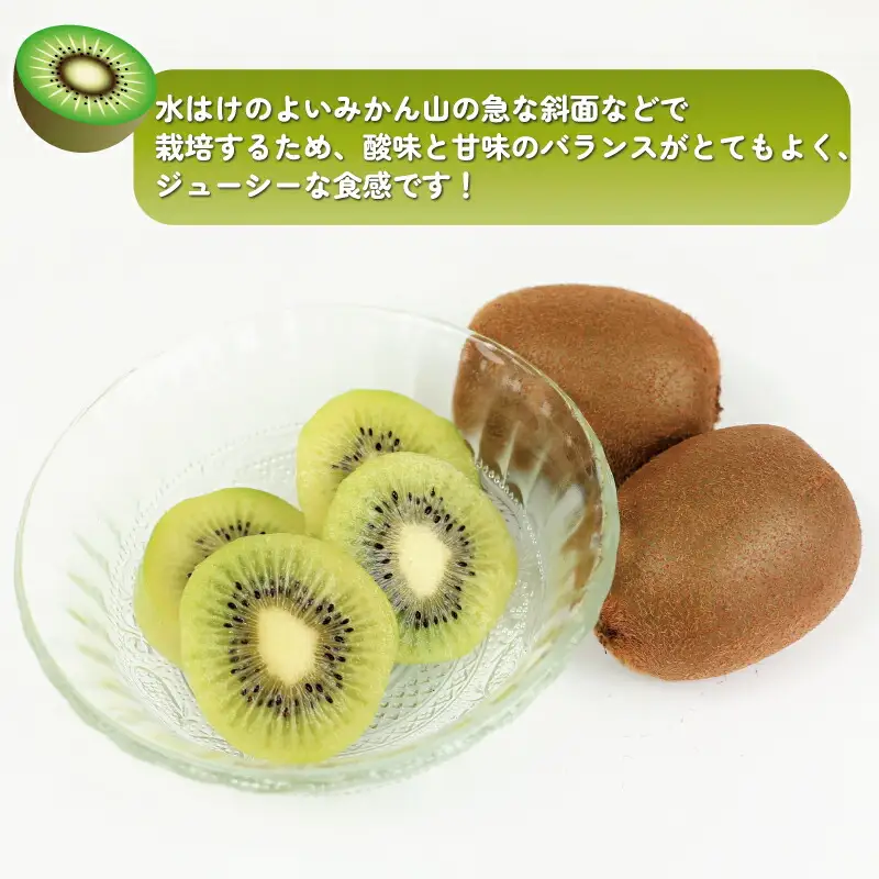 訳あり キウイ フルーツ 約4kg 杉本屋 【 訳あり キウイ 】F012-143002