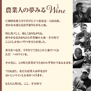 赤ワイン：清見  750ml×1本(箱入) 北海道 十勝 芽室町me032-044c