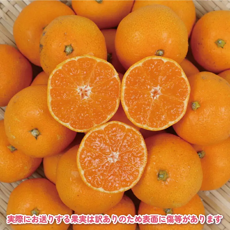 【ご家庭用】完熟プチみかん約5kg杉本屋 | みかん B010-143003