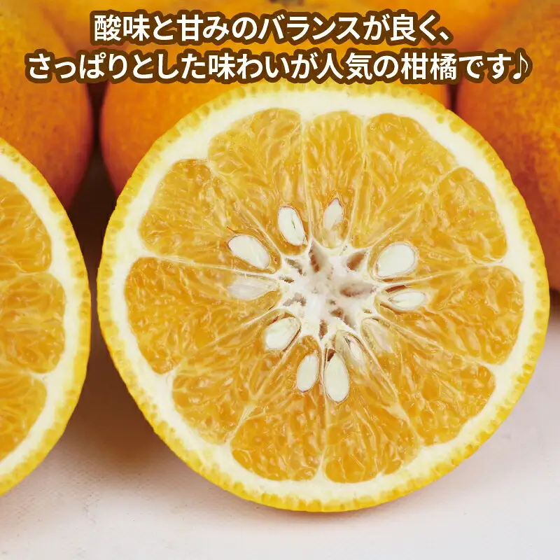 訳あり 甘夏 約 10kg マル南フルーツ 甘夏 B010-106026