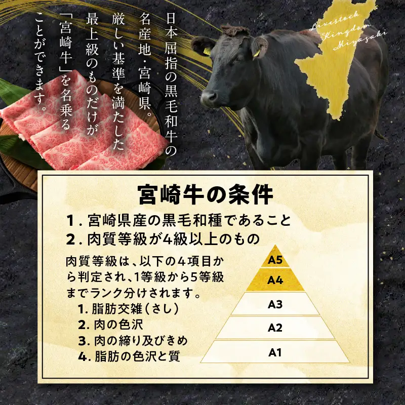 牛肉 ミンチ 牛肉[宮崎牛 1.4kg]