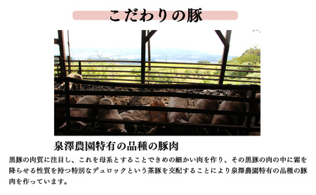 無添加 5大アレルゲン不使用 ばあく豚 焼肉 とソーセージ BBQ セット | 肉 にく ニク お肉 焼肉 奈良県 五條市 手作り 無添加 奈良県 金剛山麓 冷凍 甘味 お取り寄せ グルメ 送料無料 手作りハム・ソーセージ工房ばあく 手作り 加工品 豚 ポーク スパイス 山桜 スモーク 自慢 骨付きソーセージ 安心 にんにく たまねぎ とんかつ トンカツ バーベキュー こだわり